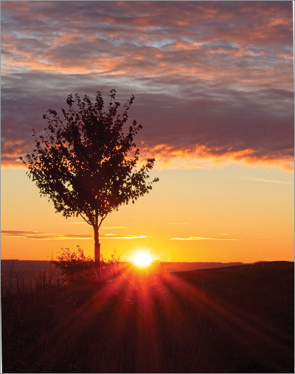 Arturo Armando Morning Sun Nature   General   Class A 20251022